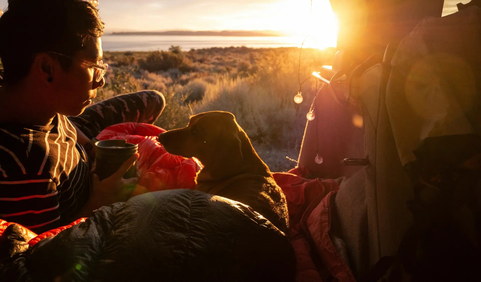 Camping mit Hund: Was ihr wirklich braucht – von der Packliste bis zu den Regeln