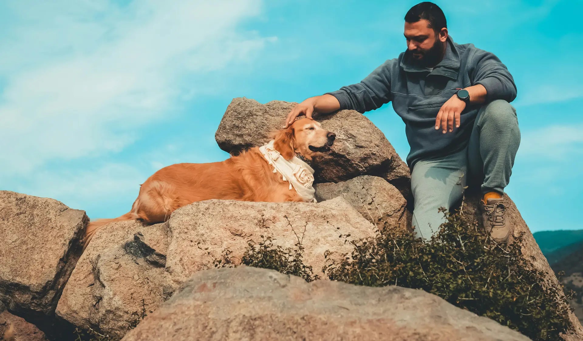 Hund und Besitzer genießen einen Sommermorgen im Freien – Tipps für Hunde im Sommer.