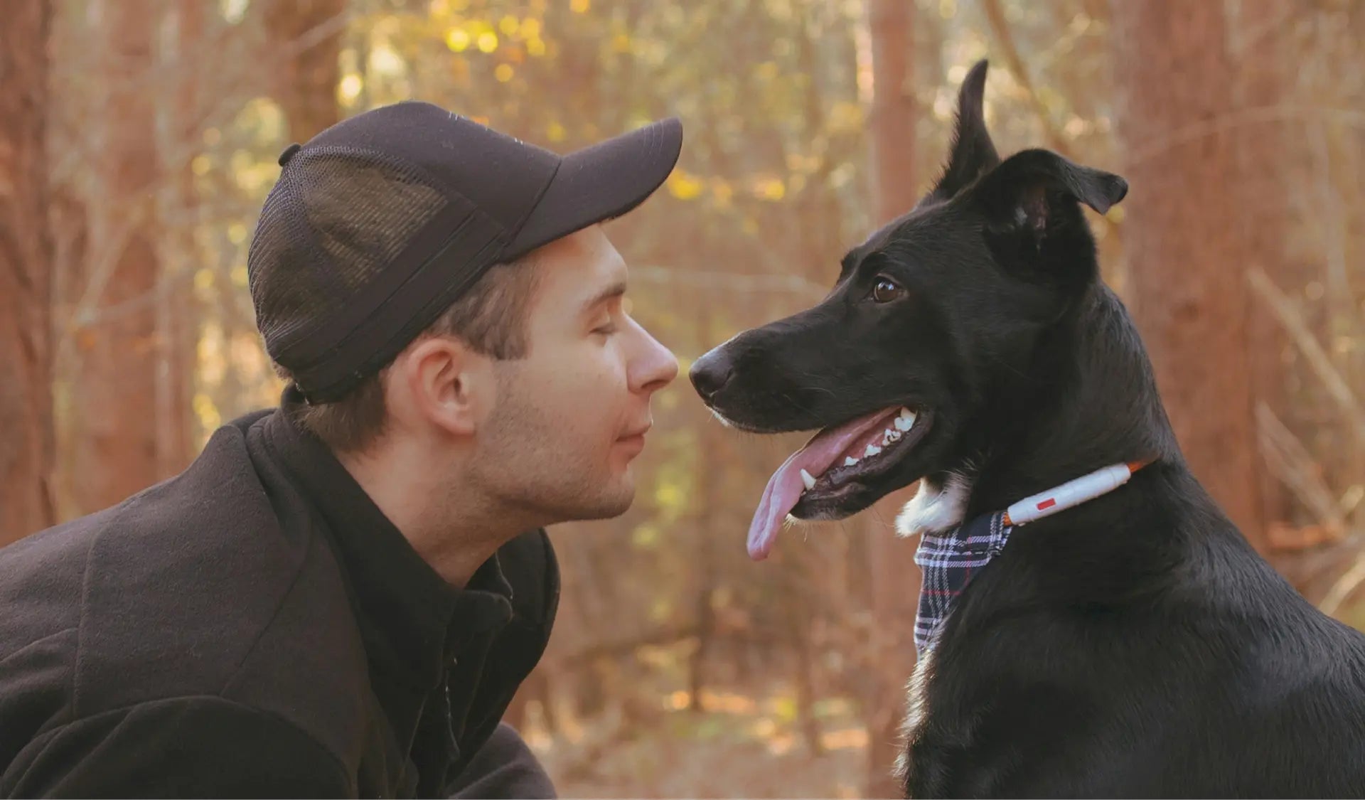 Hund sitzt eng an seinem Besitzer und schaut vertrauensvoll nach oben.