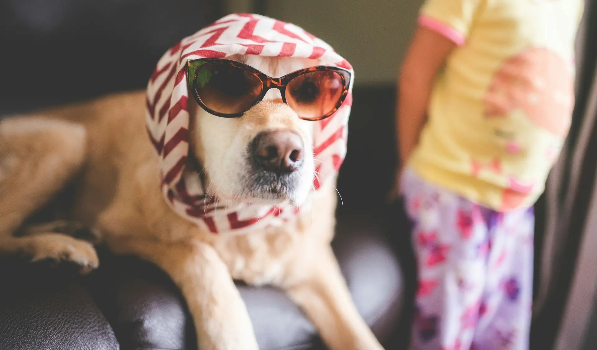 Hund sitzt glücklich neben einem Kind und freut sich auf den Sommerurlaub