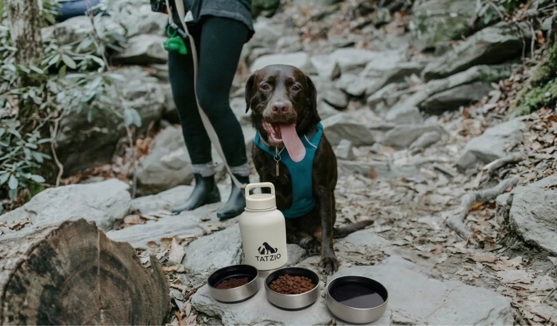 Hund beim wandern macht Pause und trinkt was aus der Tatzio Reiseflasche für Hunde. 