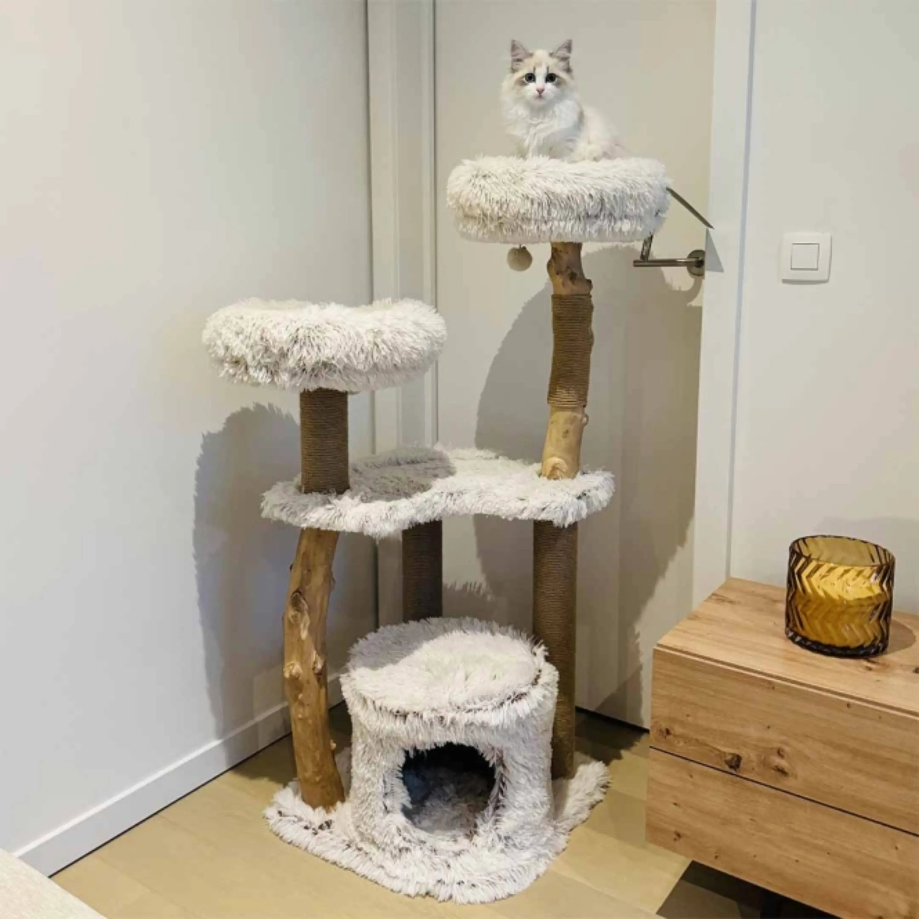 Das Bild zeigt den EBI Kratzbaum Marseille wie er im Wohnzimmer platziert ist. Auf der oberen Liegefläche befindet sich eine weiße Katze.