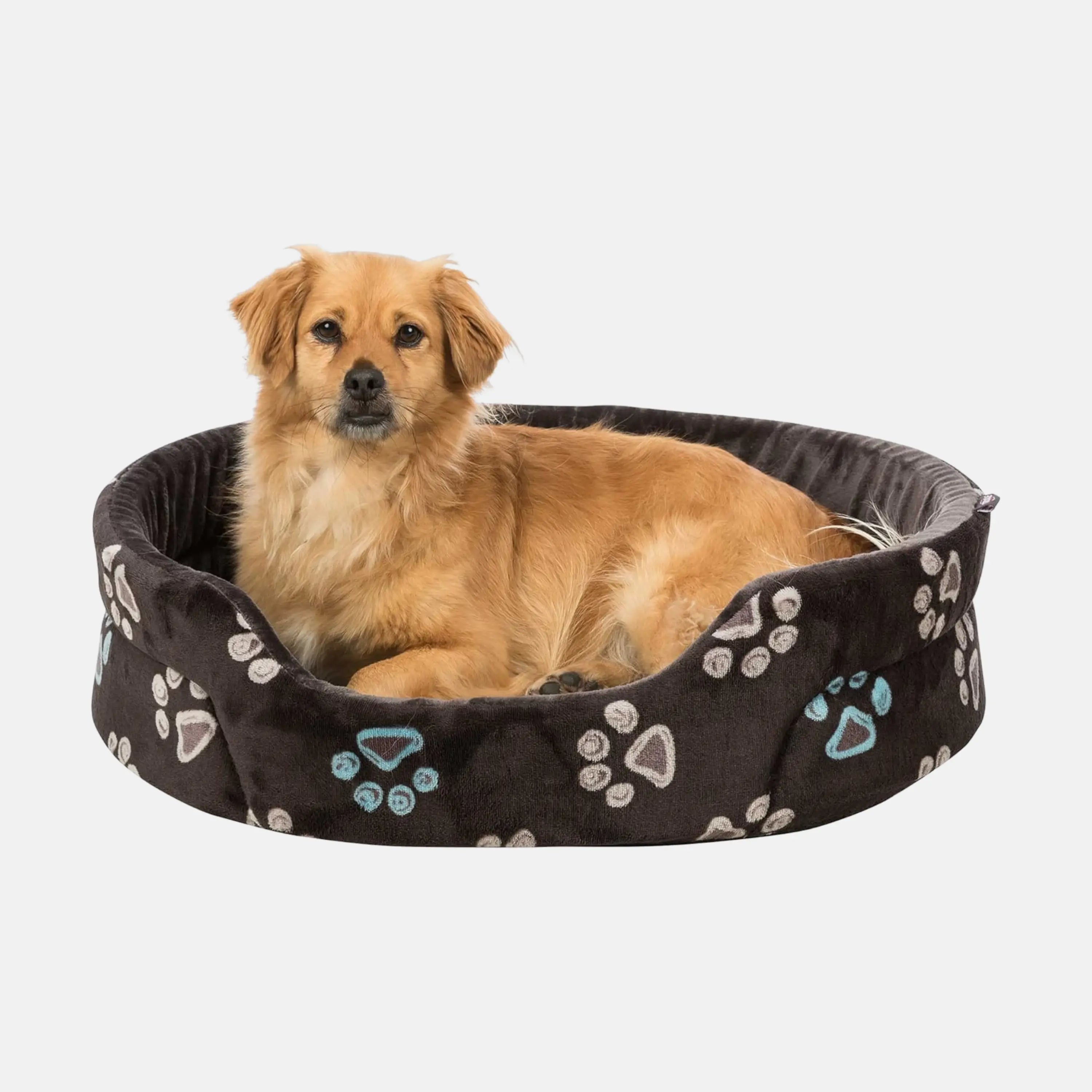 Das Bild zeigt das Trixie Bett Jimmy in der Farbe Taupe aus der Frontansicht. Ein hellbrauner Hund liegt in dem Bett.