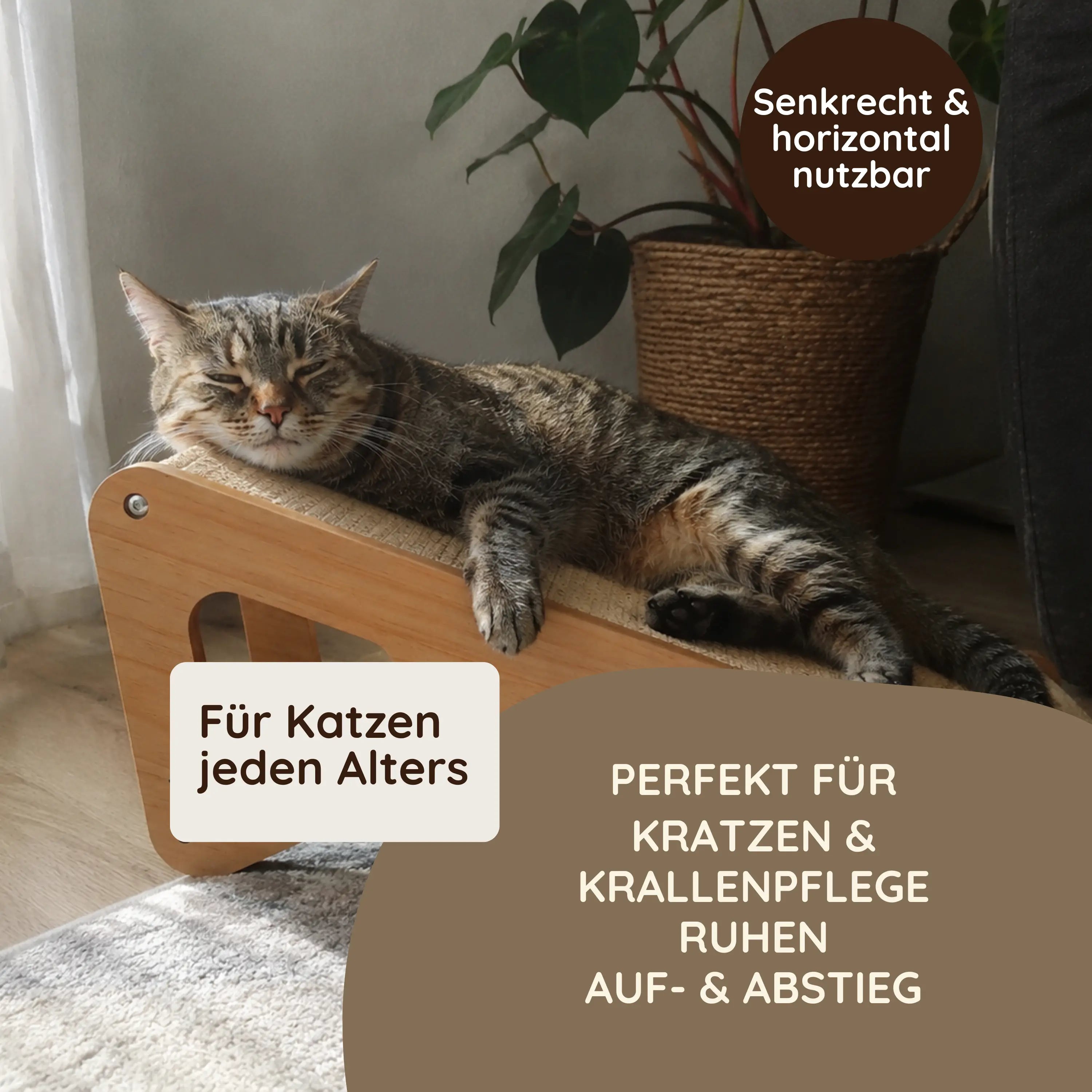 TATZIO Kratzbrett Katze horizontal als Liegeunterlage genutzt – senkrecht und horizontal nutzbar für Katzen jeden Alters.