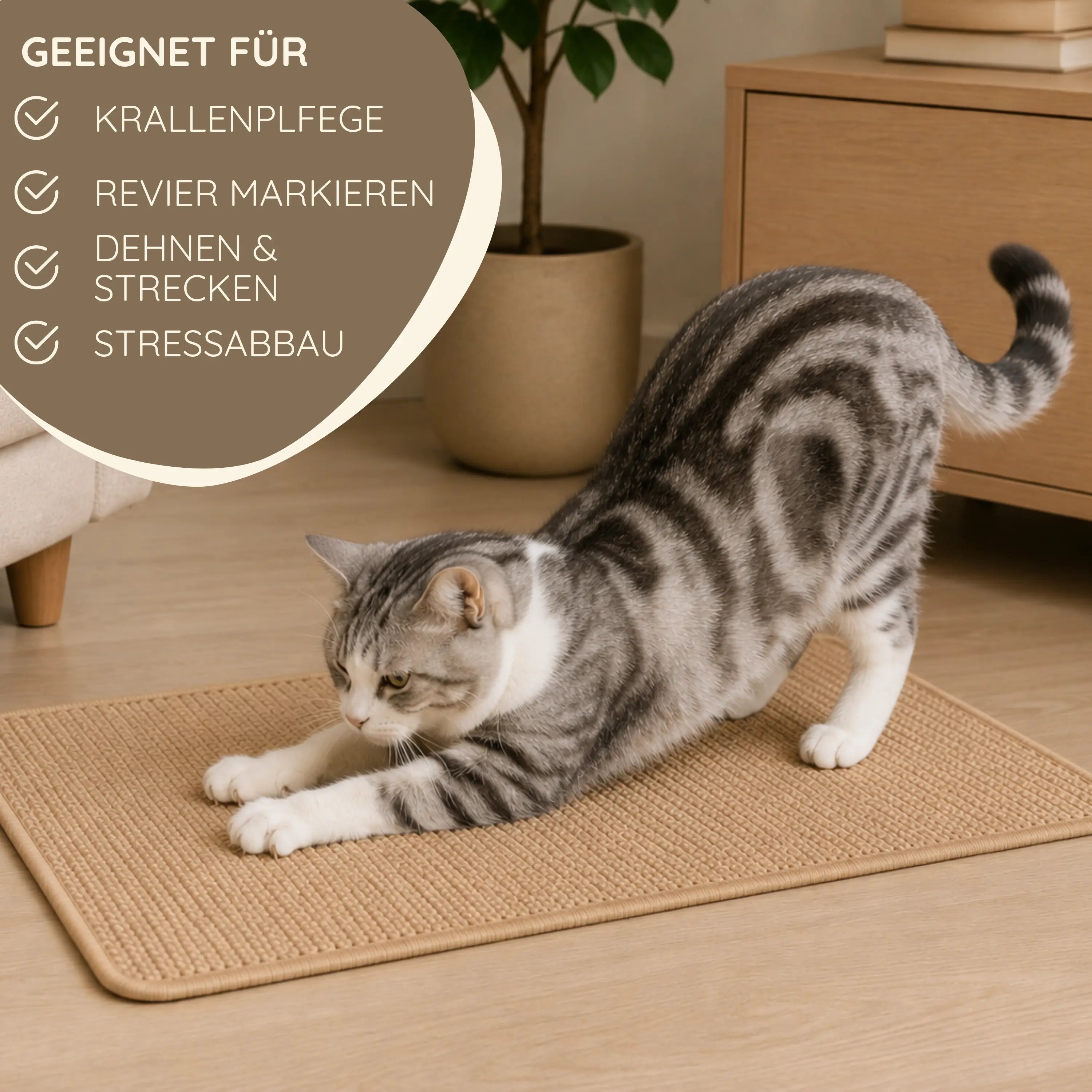 Sisalmatte für Katzen – geeignet für Krallenpflege, Dehnen, Strecken und Stressabbau.