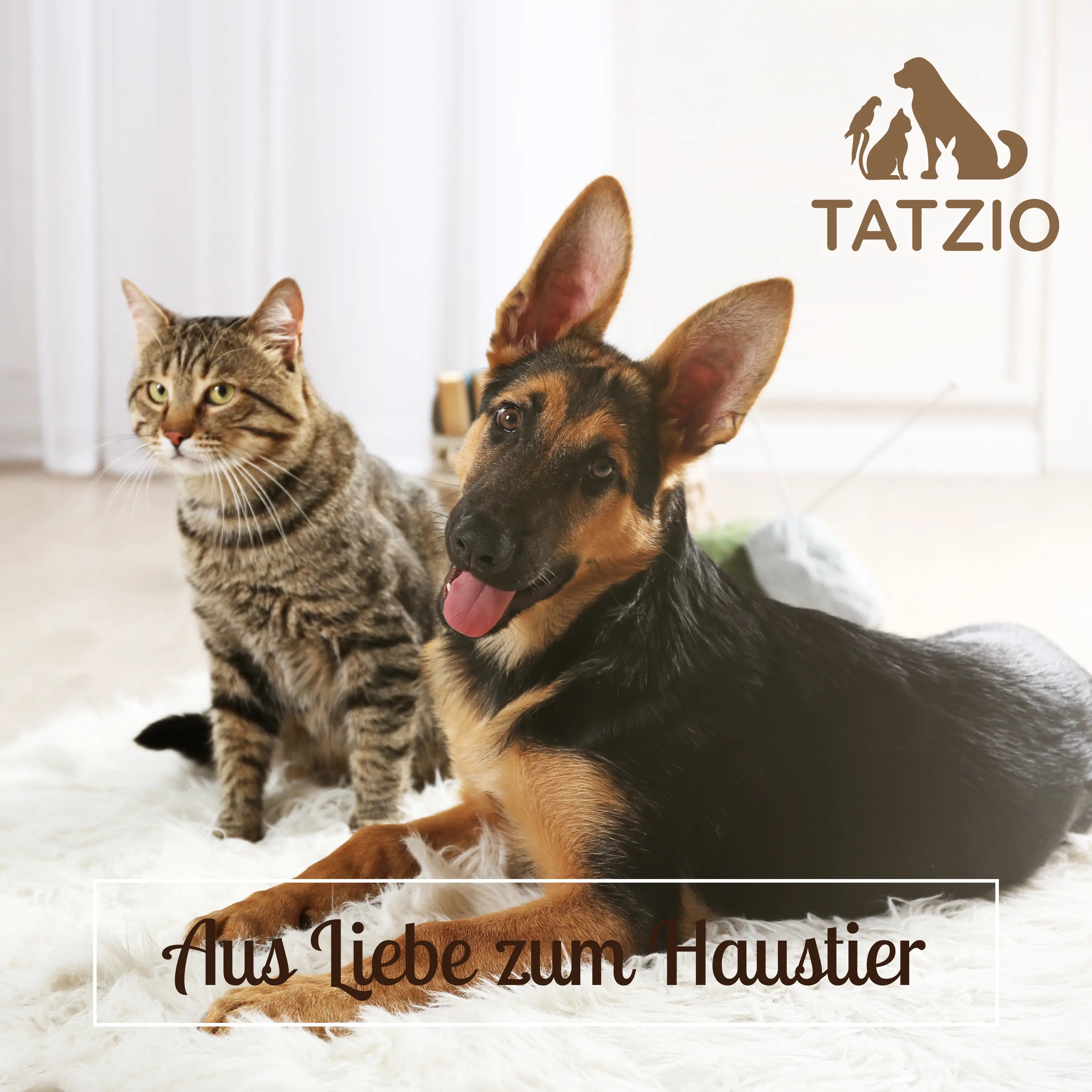 TATZIO – Aus Liebe zum Haustier: Katze und Hund entspannen gemeinsam.
